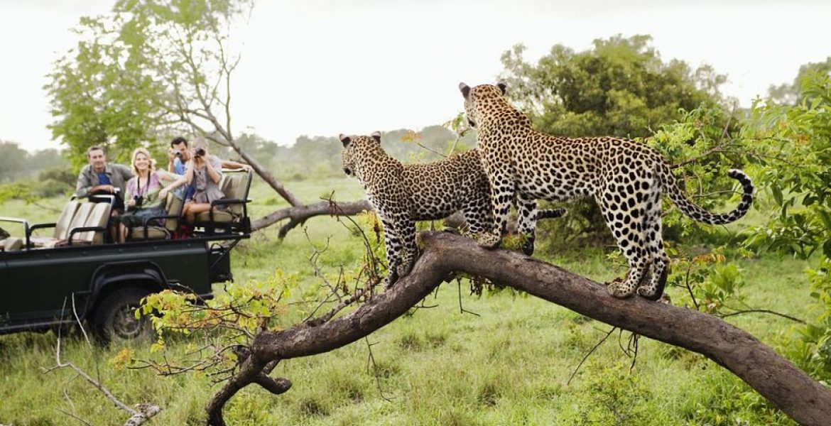 Sudafrica 1200 opt 1170x600